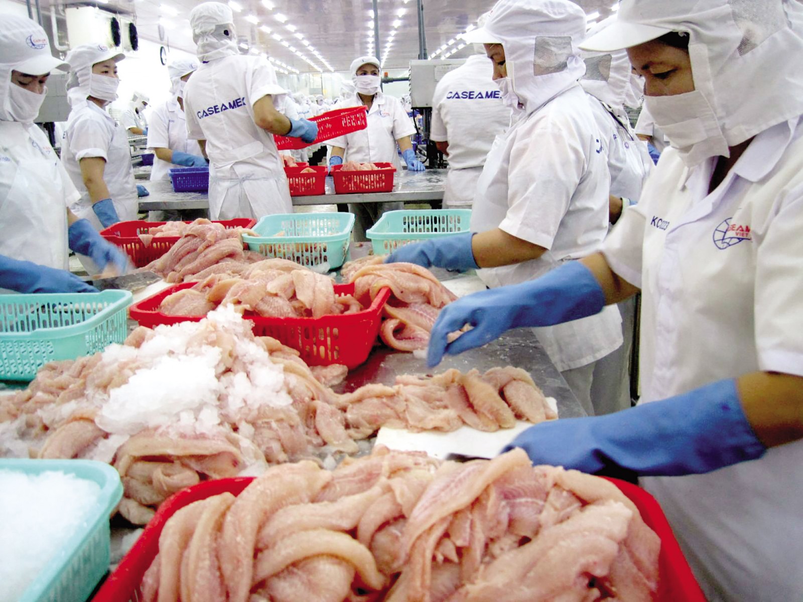 Le Vietnam et l’Argentine veulent booster leur commerce
